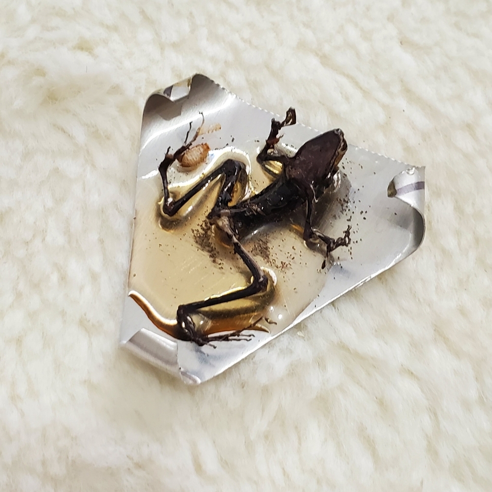 Original Unique Metal Frog Sculpture